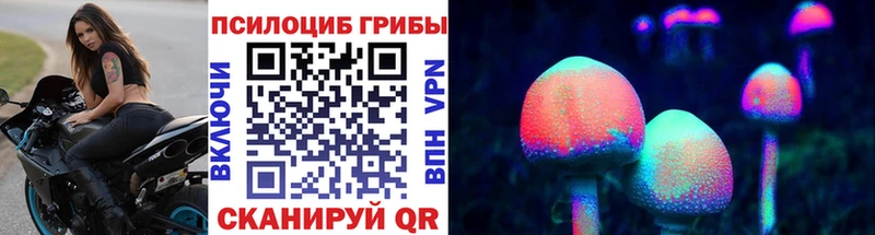 Псилоцибиновые грибы Psilocybine cubensis Полевской